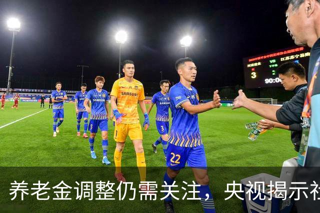 养老金调整仍需关注，央视揭示社保新问题